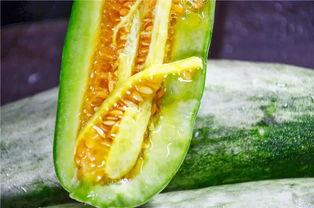 成县的吃瓜网红有哪些,瓜田里的“吃瓜”达人盘点  第3张